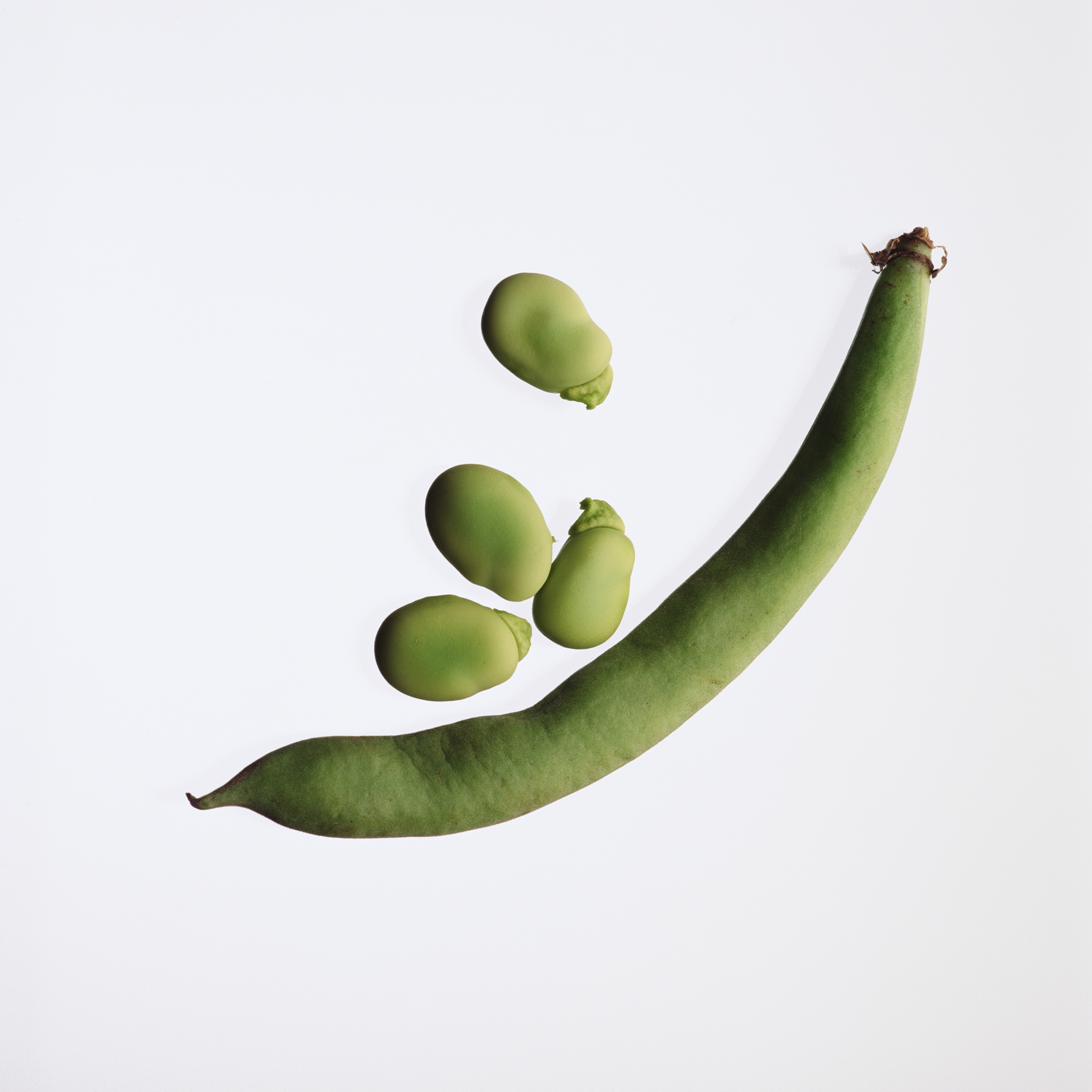 lima beansJPG